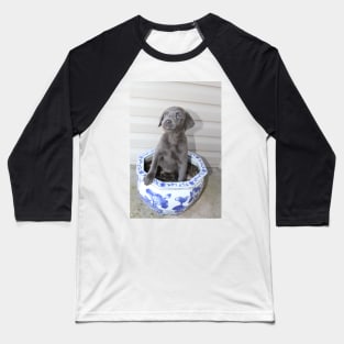 Planted Luna - Labrador :: Canines and Felines Baseball T-Shirt